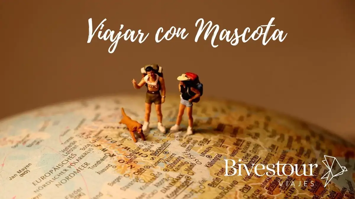 viajar con mascota